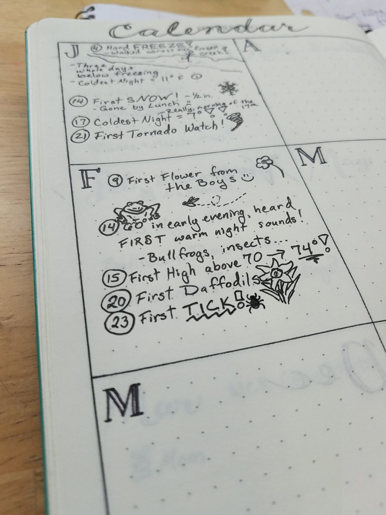 homeschool calendar of firsts bird poster