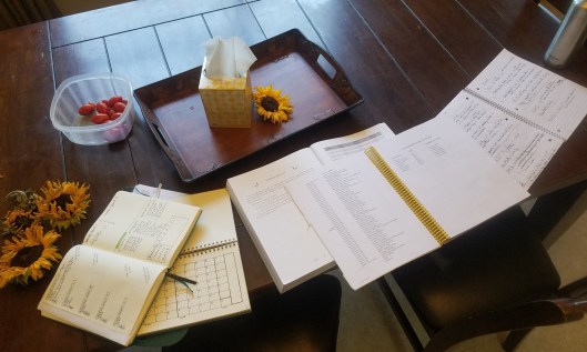 homeschool planning back to school