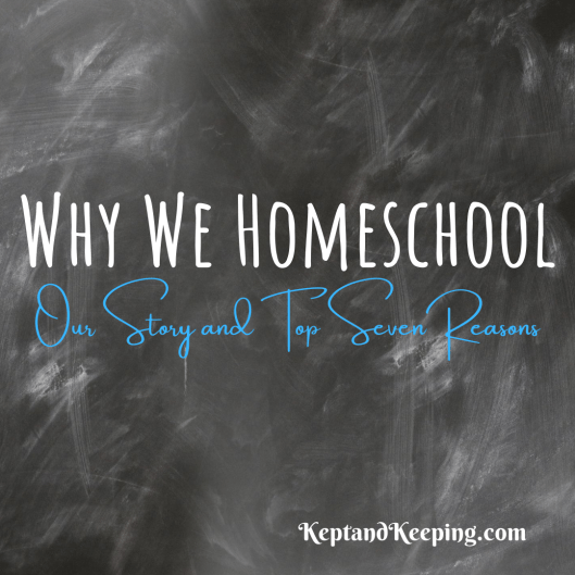 Why We Homeschool