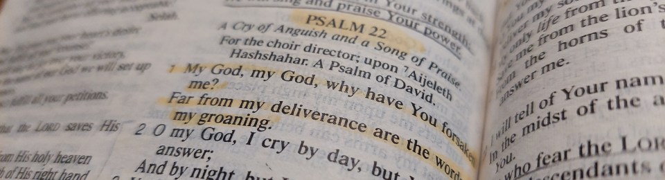 Psalm 22 Good Friday devotional death of Christ